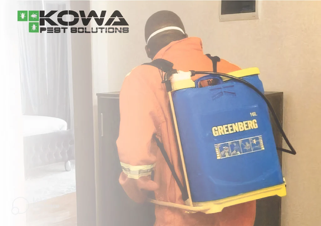 pest control services in homes