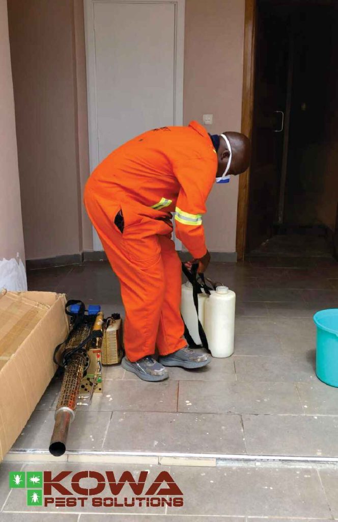 pest control procedures before treatment